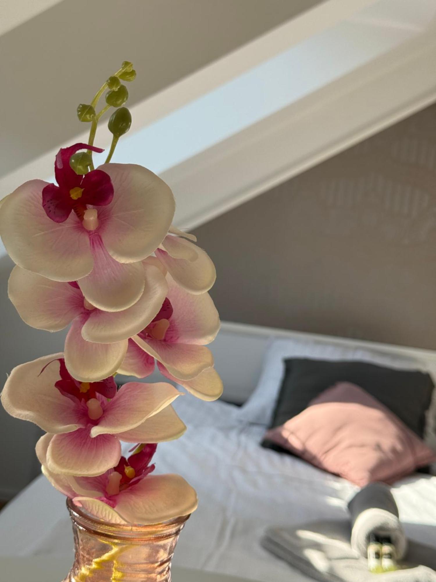 Cozy Apartments ليوبليانا المظهر الخارجي الصورة
